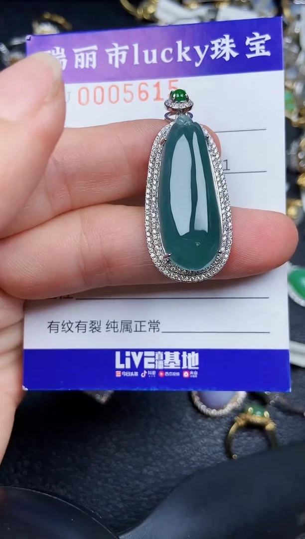 翡翠银S925镶嵌颈饰5615