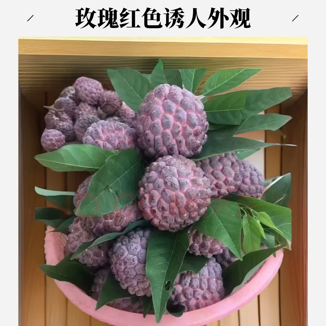 释迦果产地直发,软糯如冰淇淋花香浓郁,热带广东水果释迦果玫瑰红