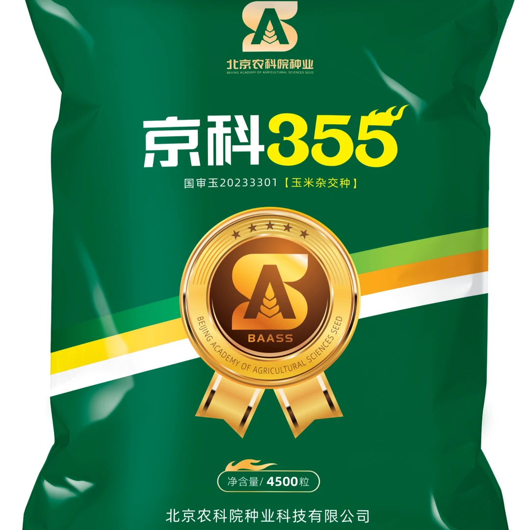 高抗病抗倒伏高产玉米北京农科院京科355