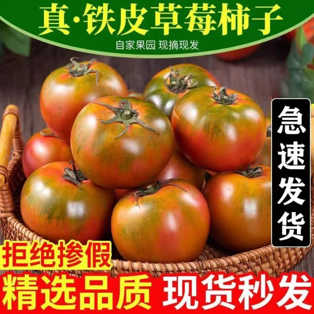【爆款热卖】草莓铁皮西红柿 现摘番茄 水果番茄