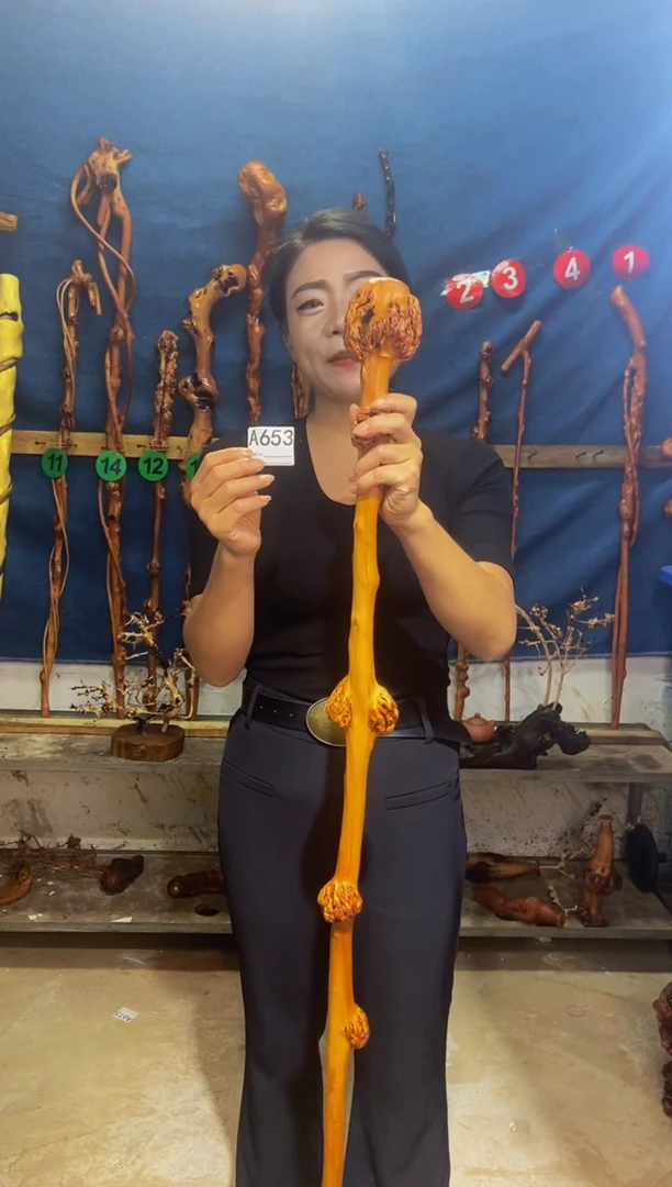 黑果木北*黑果木A653