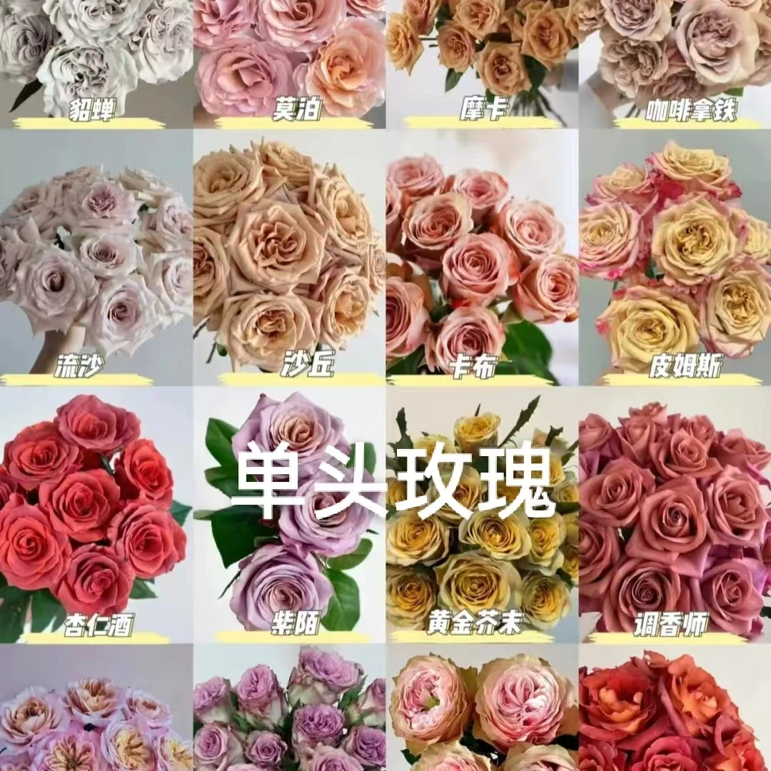 混搭单头玫瑰 家用水养鲜切花