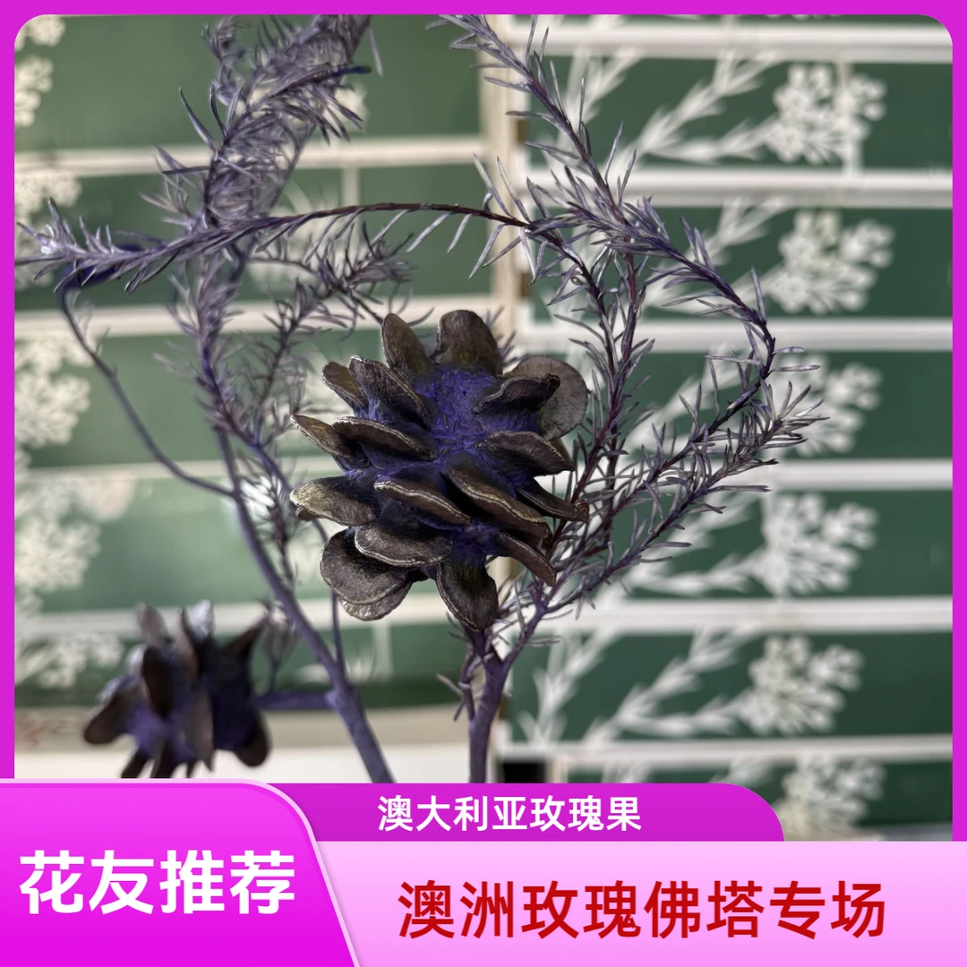 【七礼夫人】玫瑰果|澳大利亚玫瑰佛塔|高端花材|小众轻奢