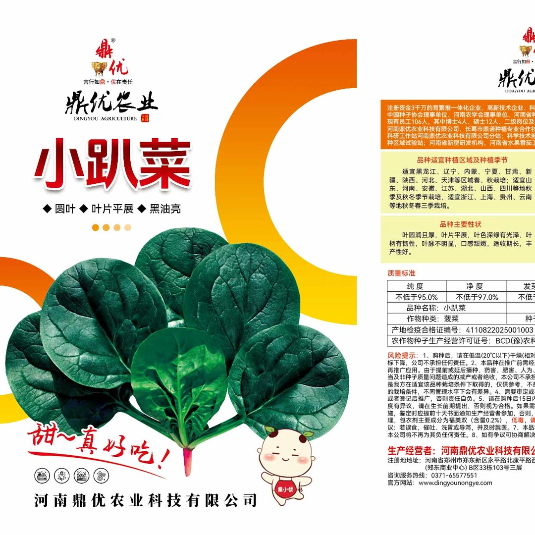 鼎优小趴菜 菠菜种子 叶片圆且厚实，叶色黑亮，适收期长，丰产性佳