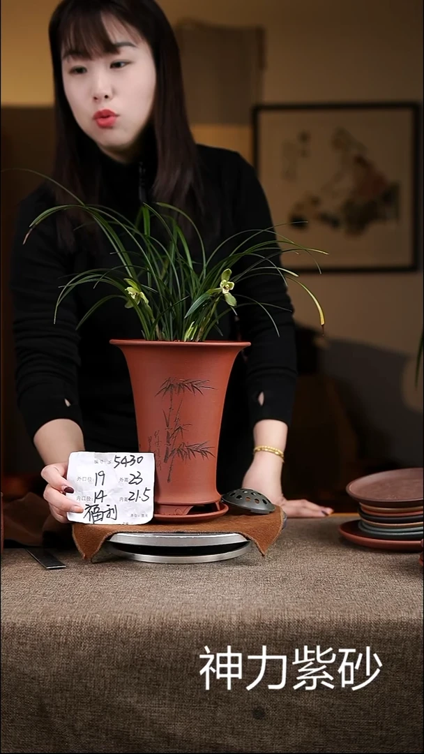 【闪购商品】紫砂花盆紫砂花盆5430+z