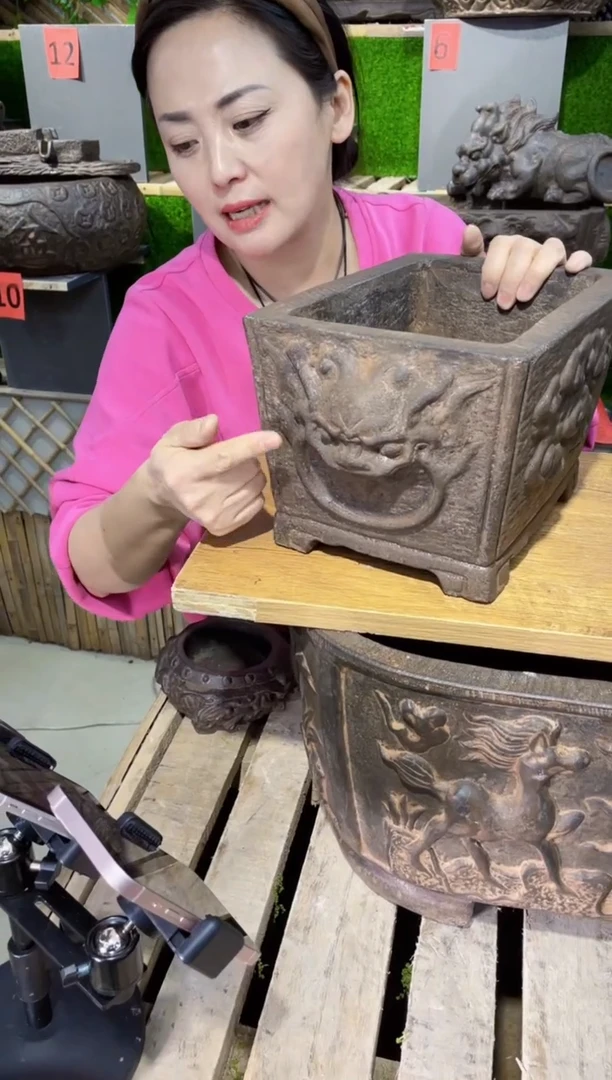 【闪购商品】复合sf-1003盆