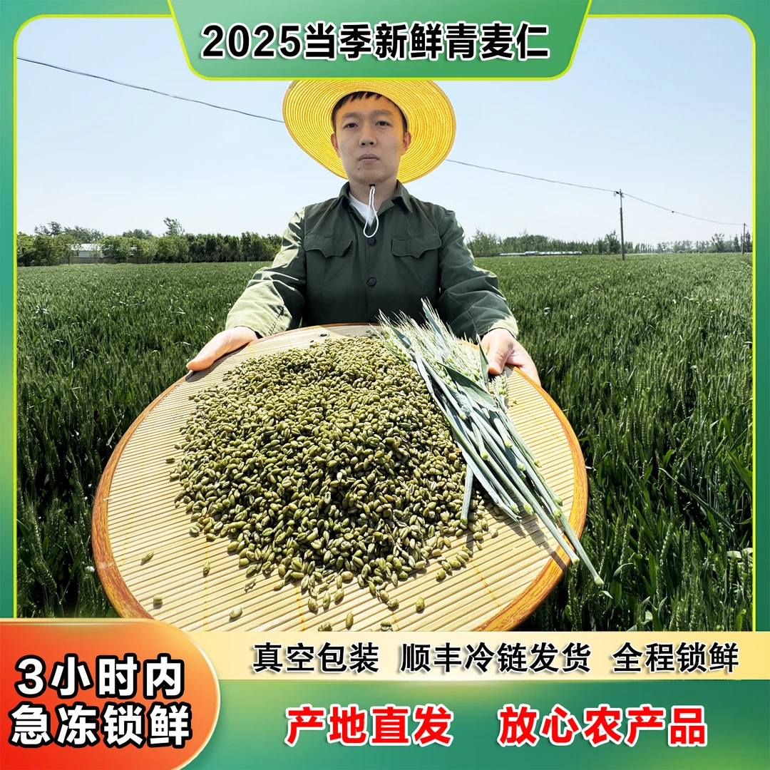 正宗新鲜青麦粒仁 色泽碧绿 味道清新饱满煮粥健康农家