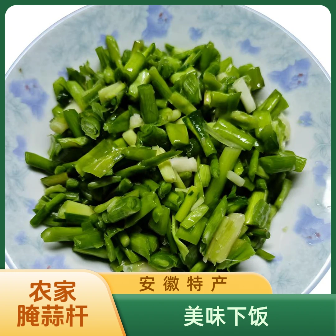 安徽特产手工腌制蒜杆蒜苗咸菜