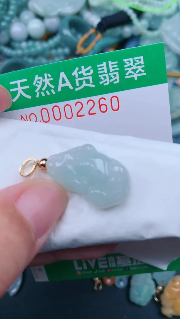 翡翠未镶嵌颈饰.0002260