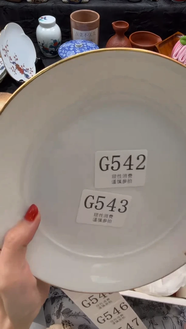 瓷片仪****）       G544