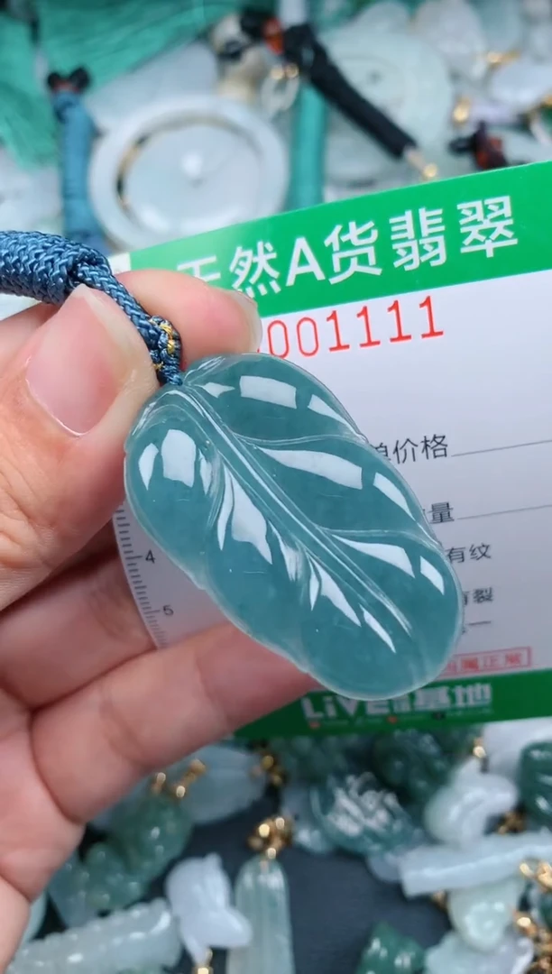 翡翠未镶嵌颈饰.0001111