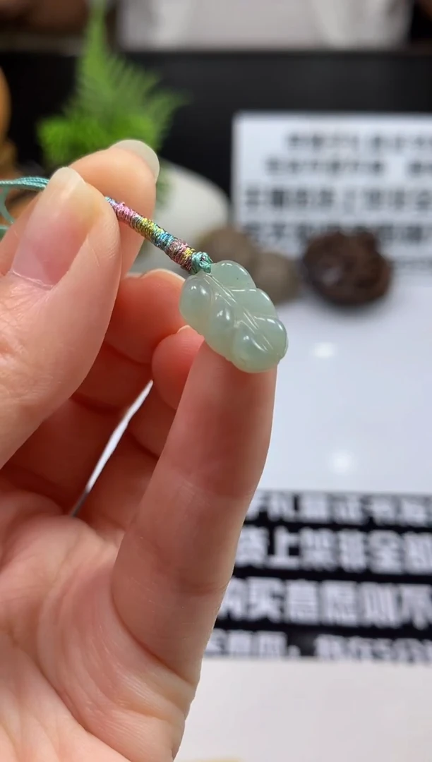 颈饰未镶嵌翡翠三*---111121