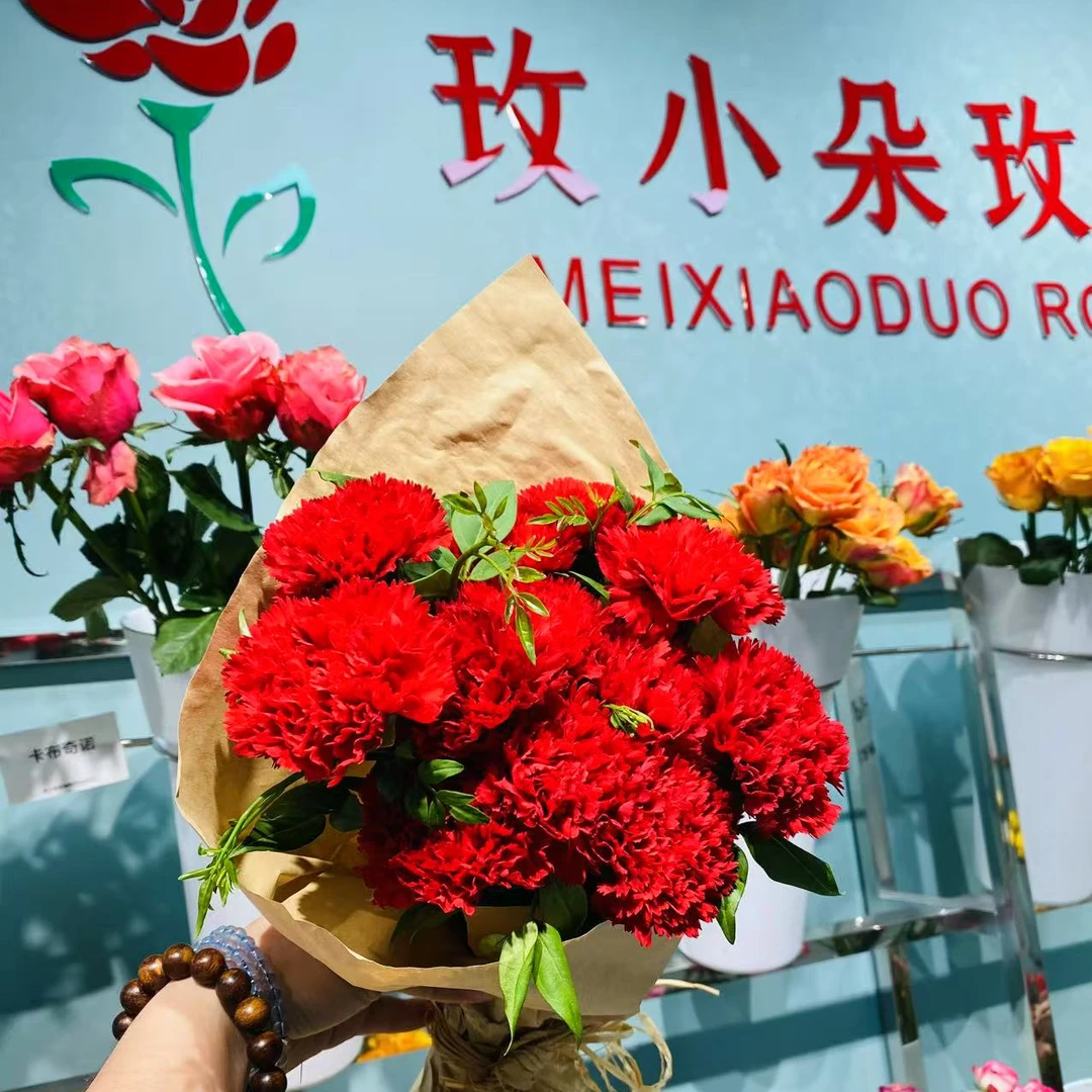 【玫小朵】康乃馨母亲节花束 日照同城一小时送货到家