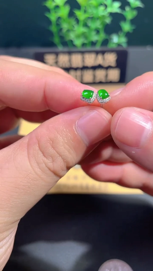 颈饰18K金镶嵌翡翠耳钉