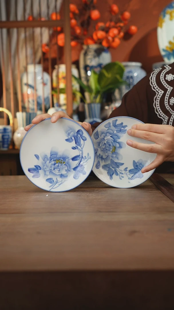 瓷片景德镇设计师釉下手绘陶瓷餐具