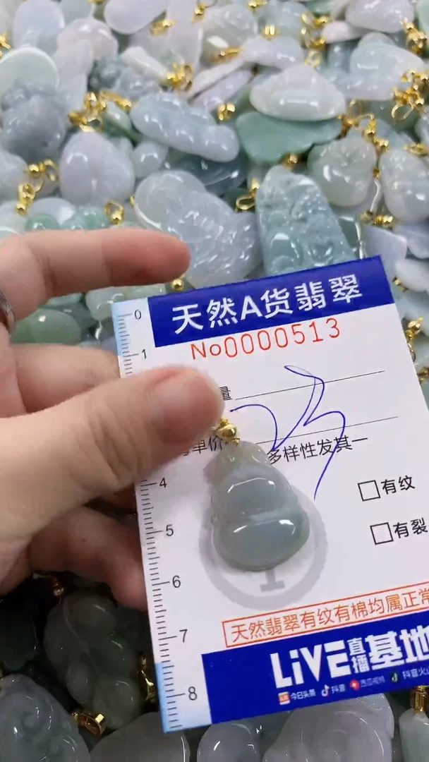 颈饰未镶嵌翡翠天然A货翡翠