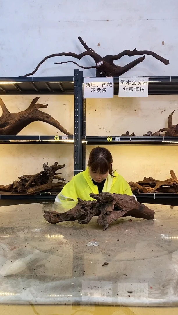 【闪购商品】柚木木艺鱼缸造景沉木047