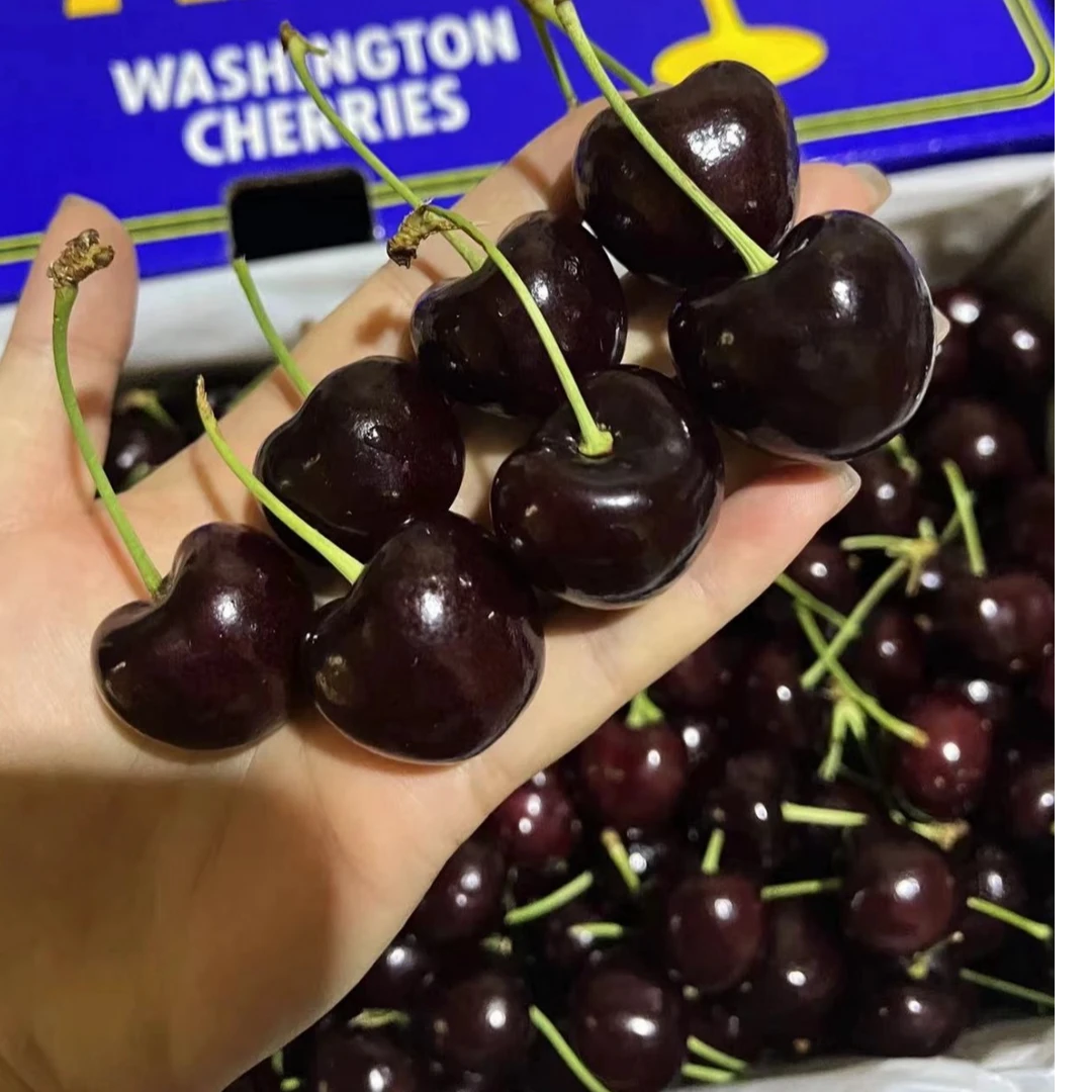 斯基纳Skeena·北美空运车厘子应季水果【顺丰包邮】