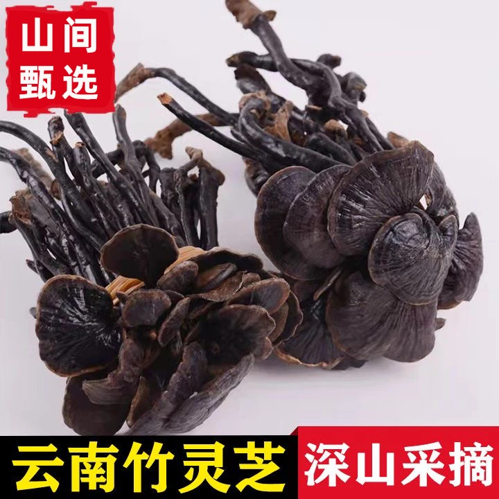 【助农推荐】云南竹灵芝干货黑灵芝煲汤泡酒