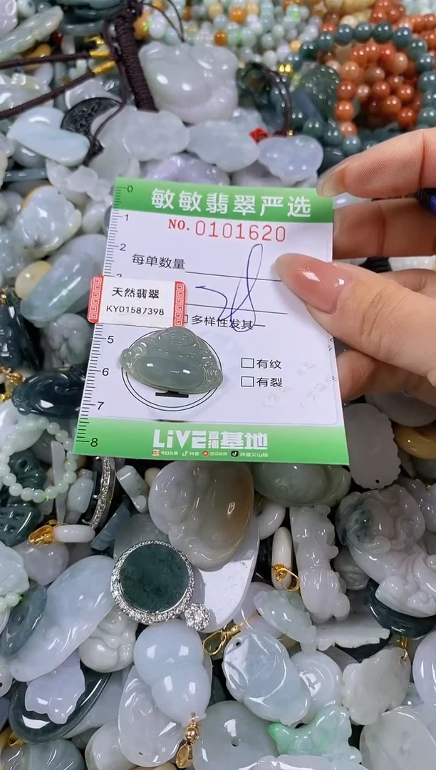 【闪购商品】翡翠颈饰未镶嵌闪购链接0101620