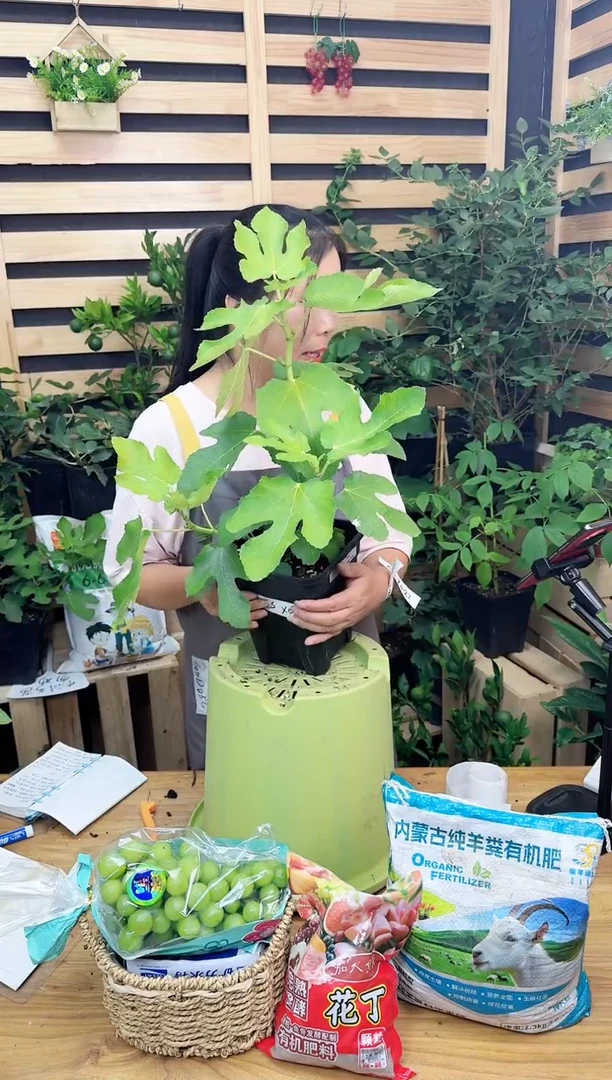 用****7085 久留米 2.8L