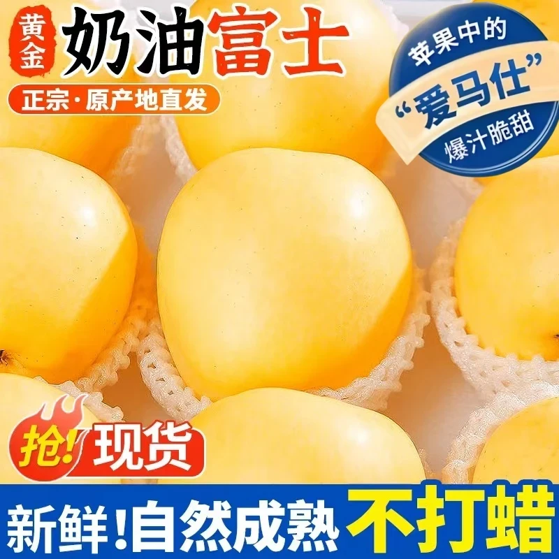 【2025新果】正宗栖霞奶油苹果富士苹果新鲜水果皮薄脆甜应季水果
