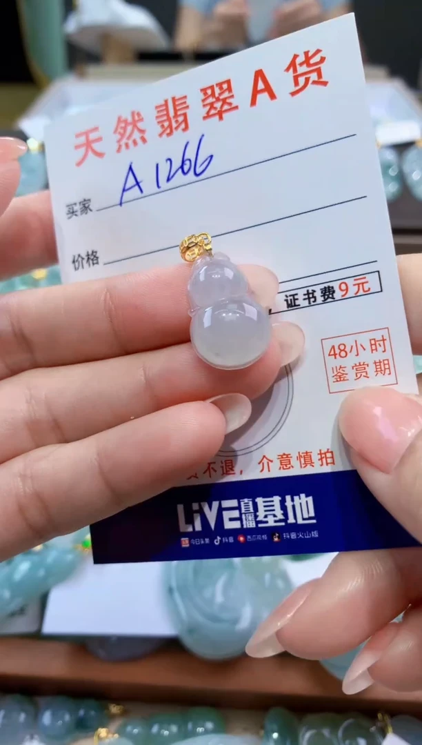颈饰未镶嵌翡翠天然翡翠A货挂件
