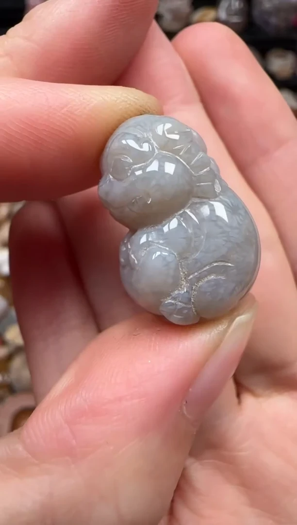 颈饰未镶嵌硅化珊瑚（珊瑚玉）283