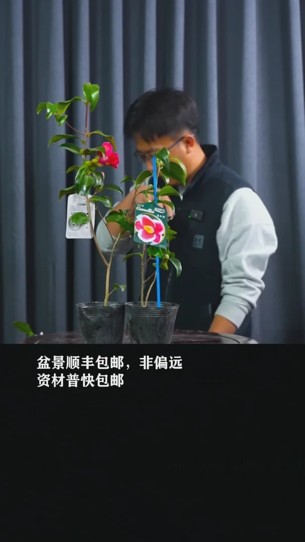 【闪购商品】玉之浦-BB57/BB58