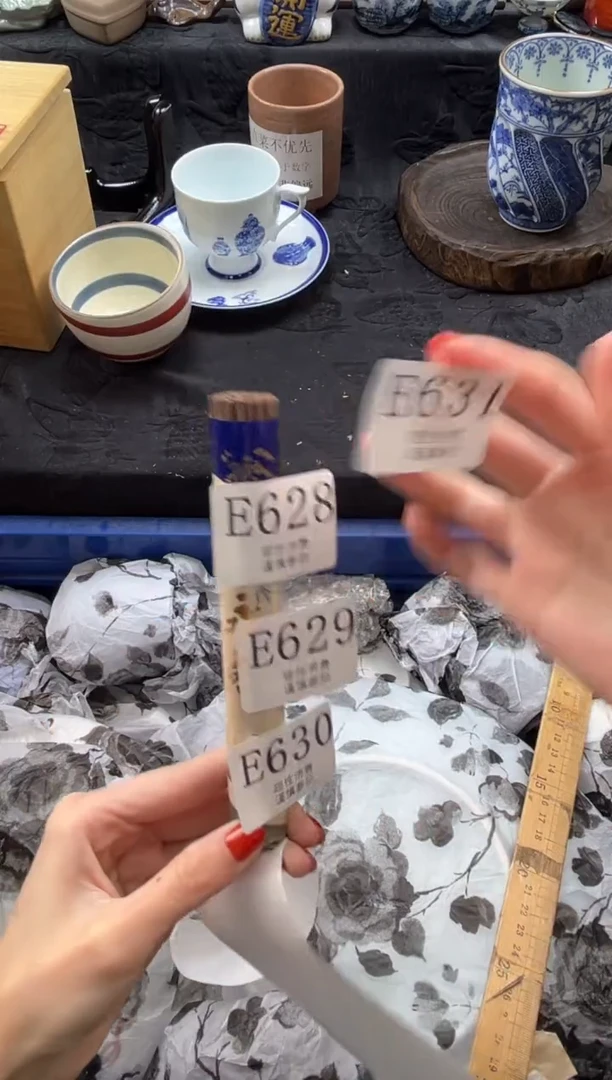瓷片 E631