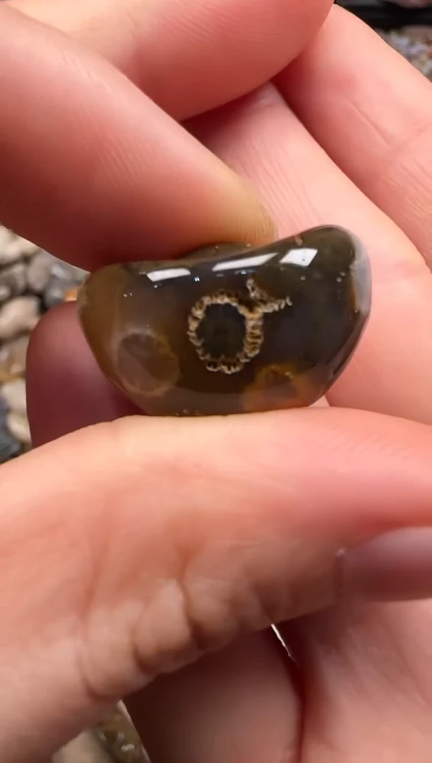 【闪购商品】硅化珊瑚（珊瑚玉）颈饰未镶嵌045