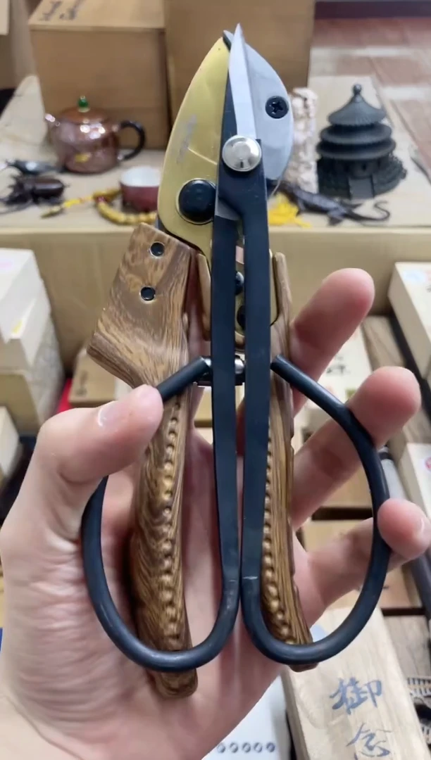 瓷片jianz+0000000000000