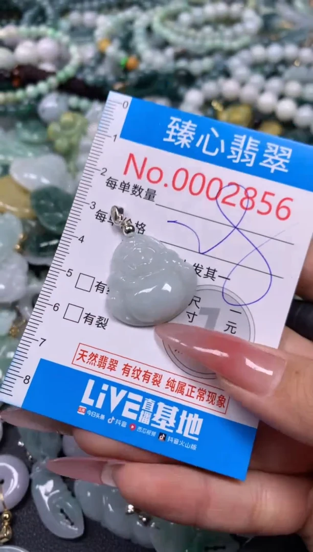 【闪购商品】翡翠颈饰未镶嵌含绳0002856