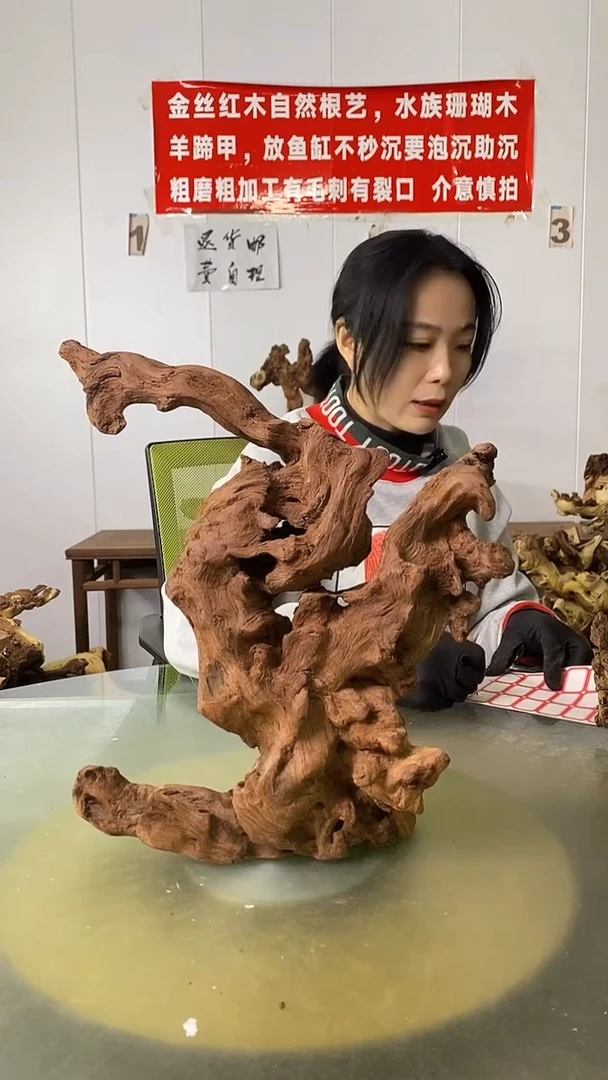 木一*哥金丝红木  羊蹄甲