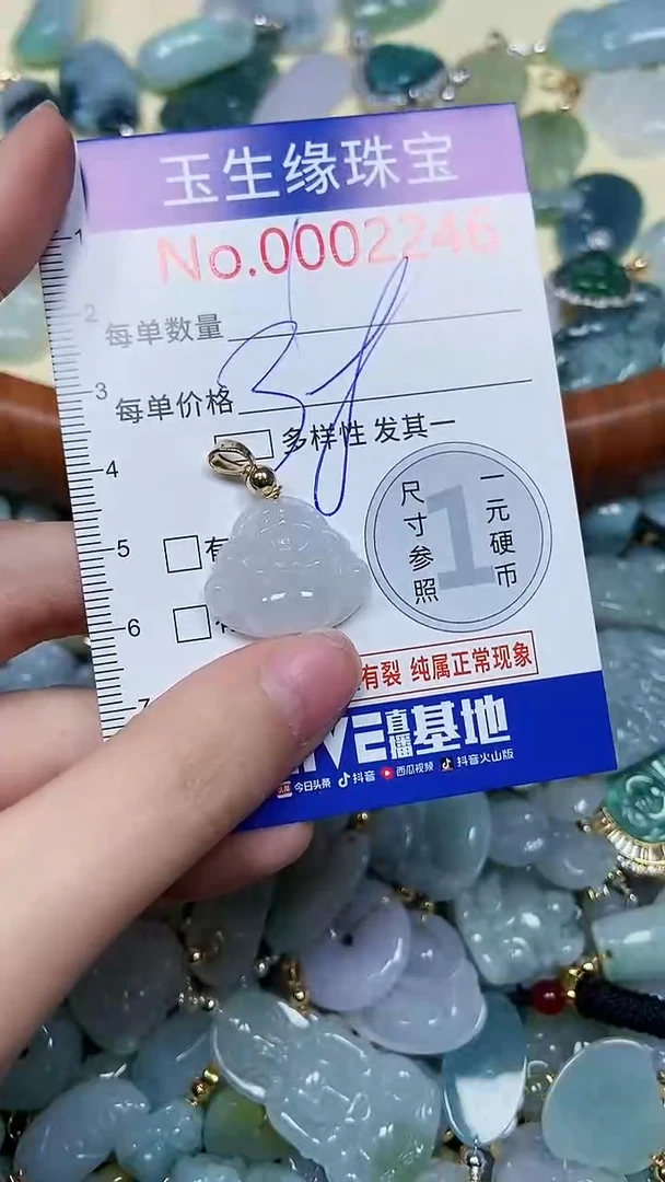 【闪购商品】翡翠颈饰未镶嵌闪购00002246