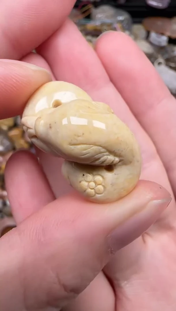 硅化珊瑚（珊瑚玉）未镶嵌颈饰460