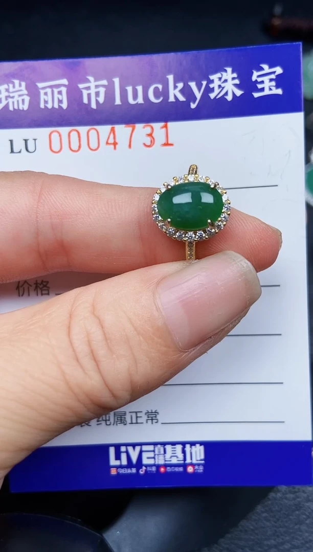 翡翠银S925镶嵌颈饰4731