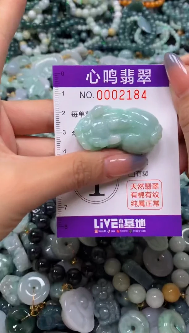 颈饰未镶嵌翡翠闪购002184