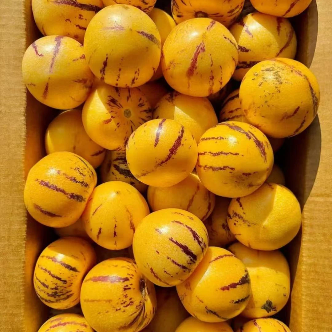 【香甜爆汁】云南石林人参果 爽口多汁 新鲜采摘 净5斤