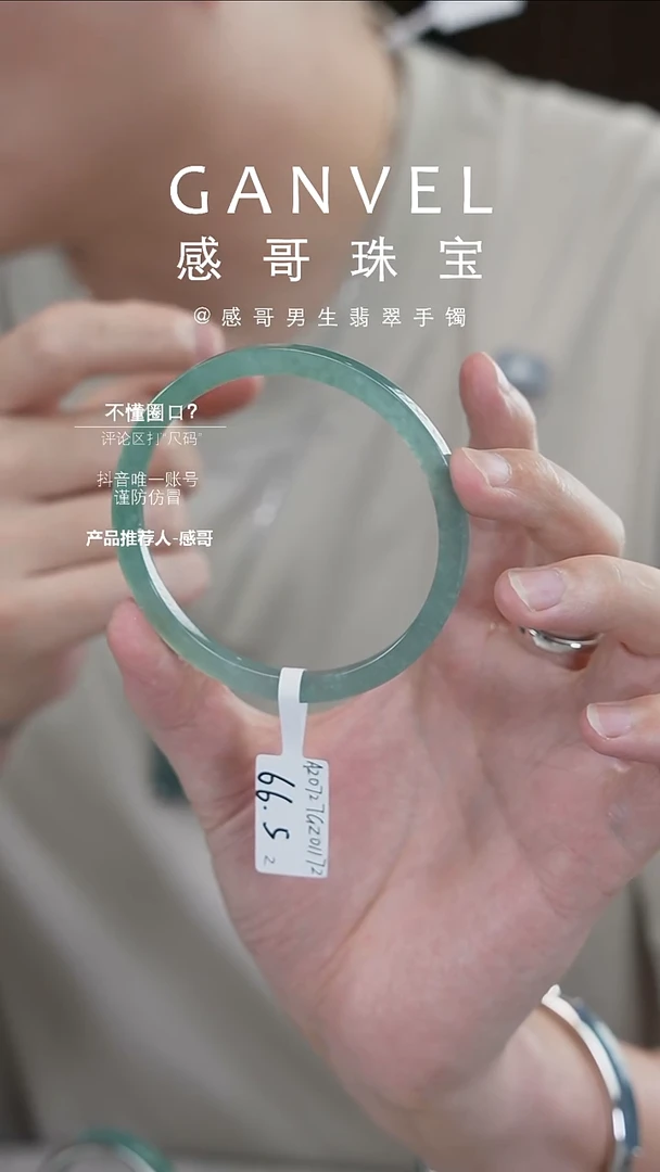 未镶嵌手镯翡翠66.52 特惠价