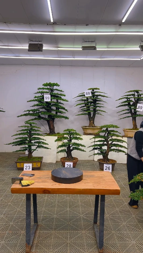 无花朵给****吧一物一拍一物一拍丛林