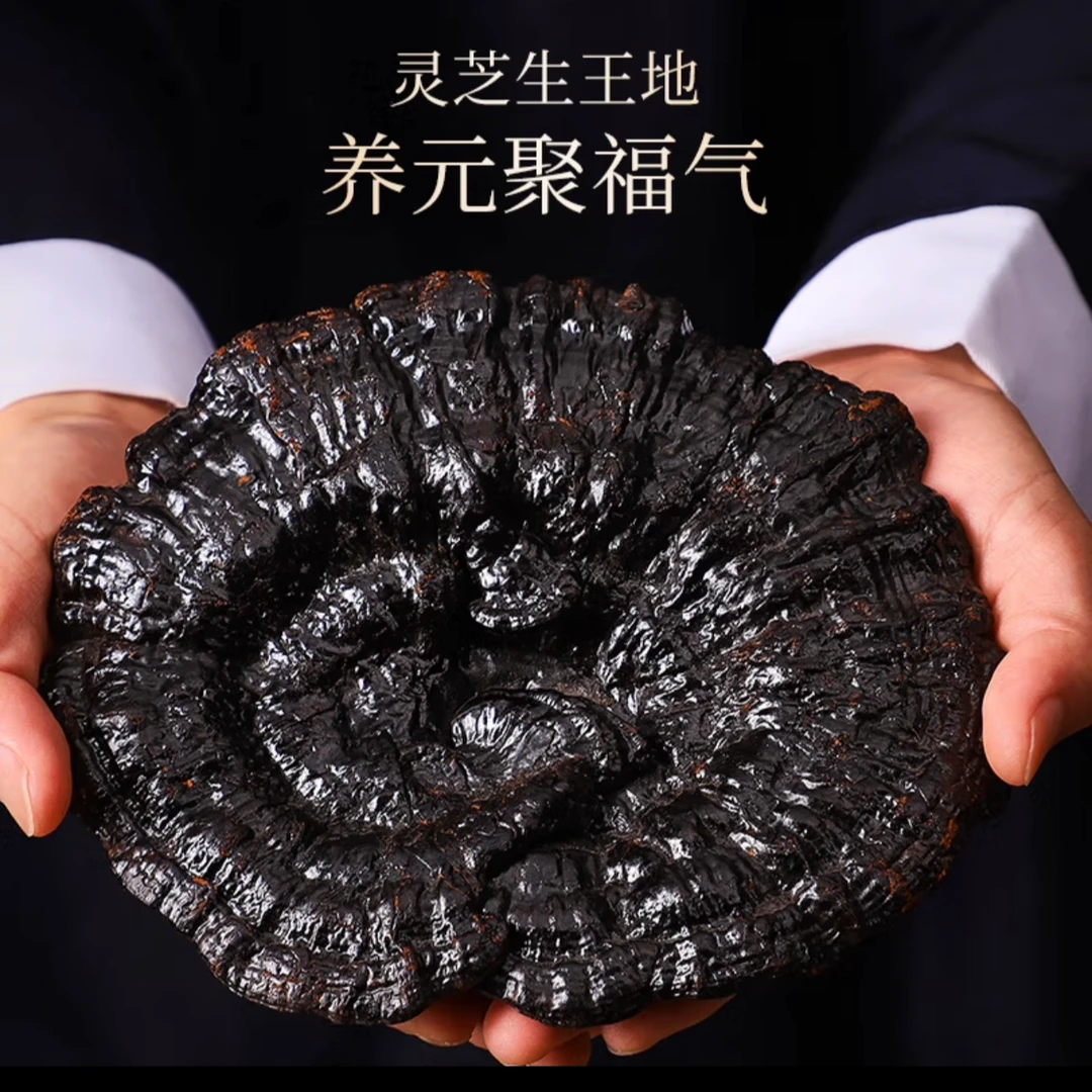 正品野生滋补干货黑灵芝泡酒煲汤泡水 KP