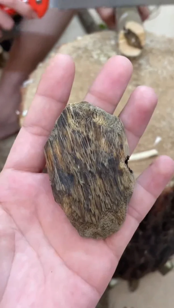 沉香碎屑沉香棋楠沉香 原料文创1