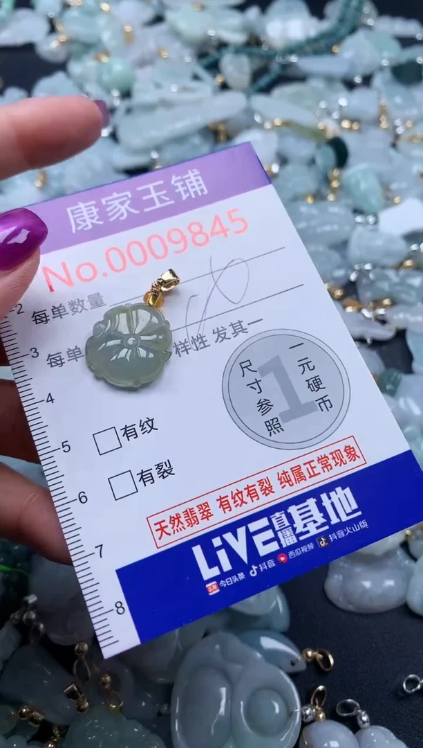颈饰未镶嵌翡翠9845
