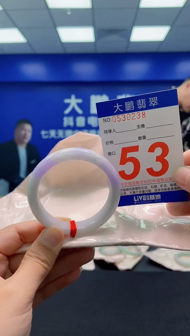 未镶嵌手镯翡翠AAAAAAAAA