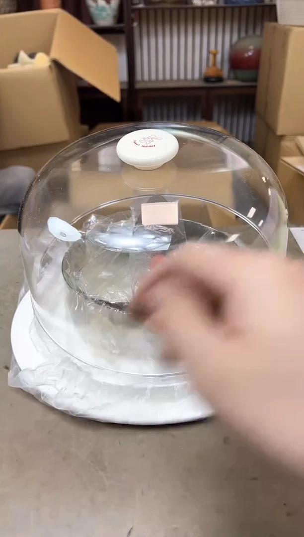 瓷片398聚宝缘海淘精选