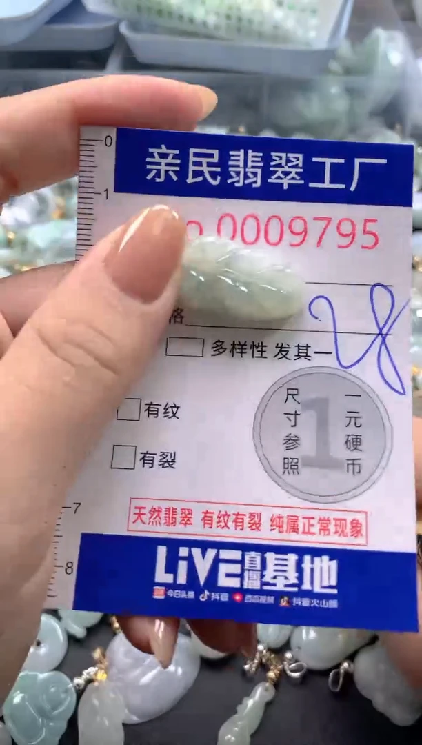 颈饰未镶嵌翡翠9795