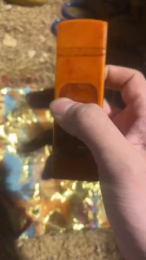 香榧木（1个黄色小印章）