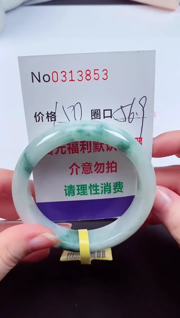 翡翠手镯未镶嵌 0313853
