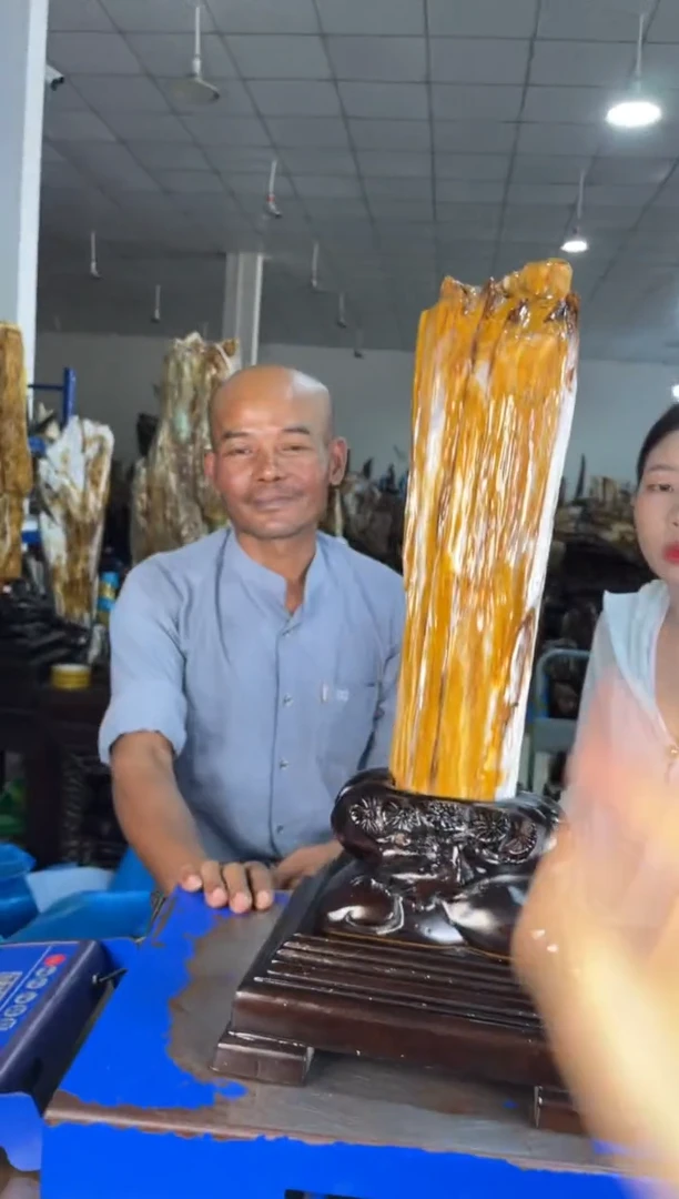 未镶嵌摆件硅化玉26